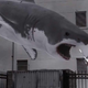 Illustration for article titled emSharknado /emstars to return for emSharknado 2/em, preserving integrity of emSharknado /em